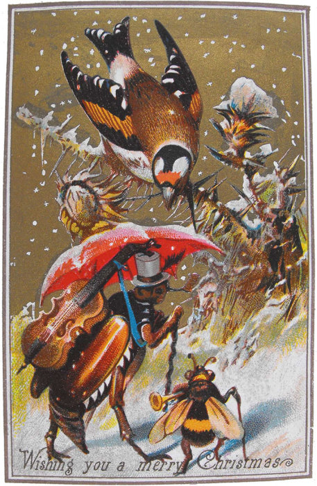 Насекомые странствуют по свету с концертами, прячась от птиц. Насекомые странствуют по свету с концертами, прячась от птиц.