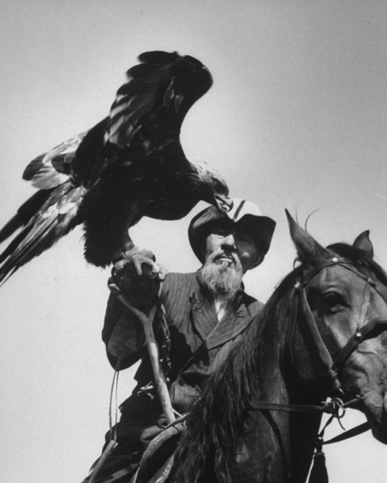 Пожилой охотник с ручным орлом. Пожилой охотник с ручным орлом.