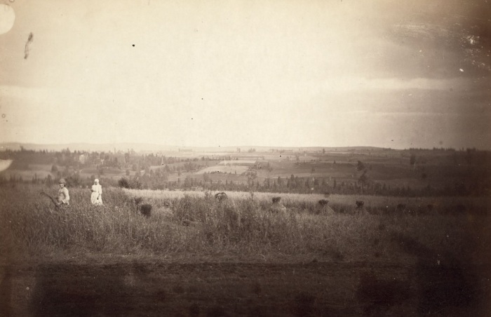 Женщины собирают урожай вблизи Красноярска. Женщины собирают урожай вблизи Красноярска.