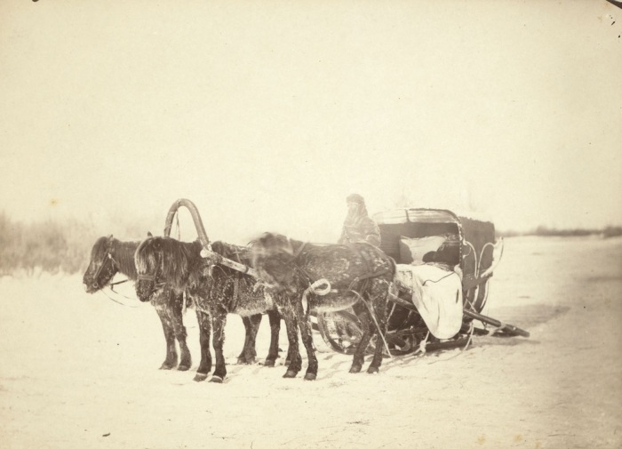 Сани, запряженные тройкой лошадей. Сани, запряженные тройкой лошадей.