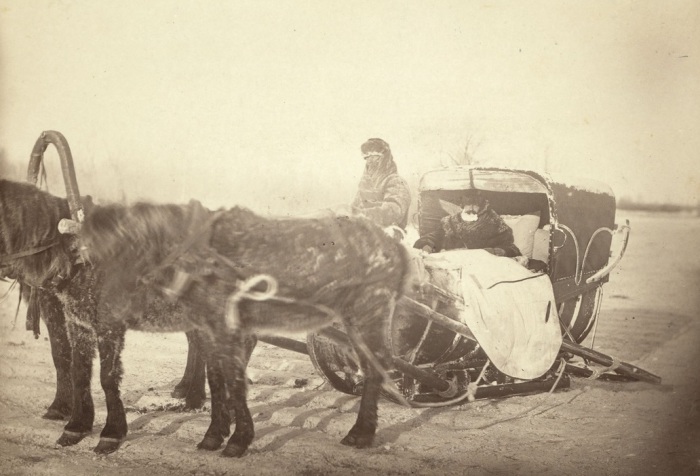 Сибирские сани в морозное утро. Сибирские сани в морозное утро.