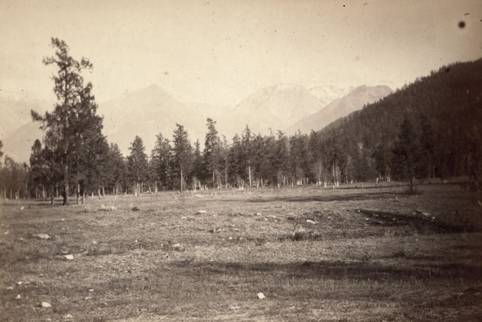 Алтайские горы недалеко от станции Алтайская. Алтайские горы недалеко от станции Алтайская.