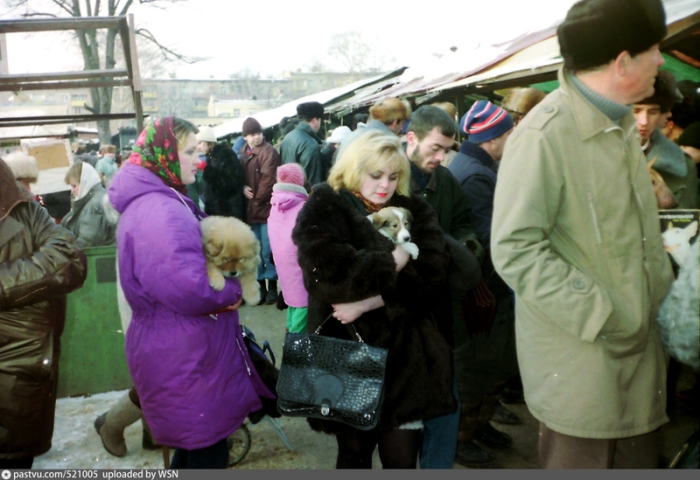 Торговое место, где много как продавцов животных так и покупателей, и конечно же, просто зевак, которые пришли посмотреть. Торговое место, где много как продавцов животных так и покупателей, и конечно же, просто зевак, которые пришли посмотреть.