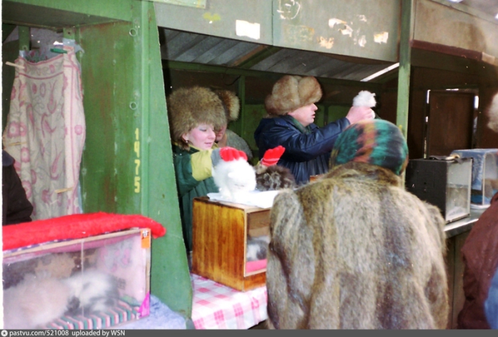 Люди продают и покупают животных. Люди продают и покупают животных.