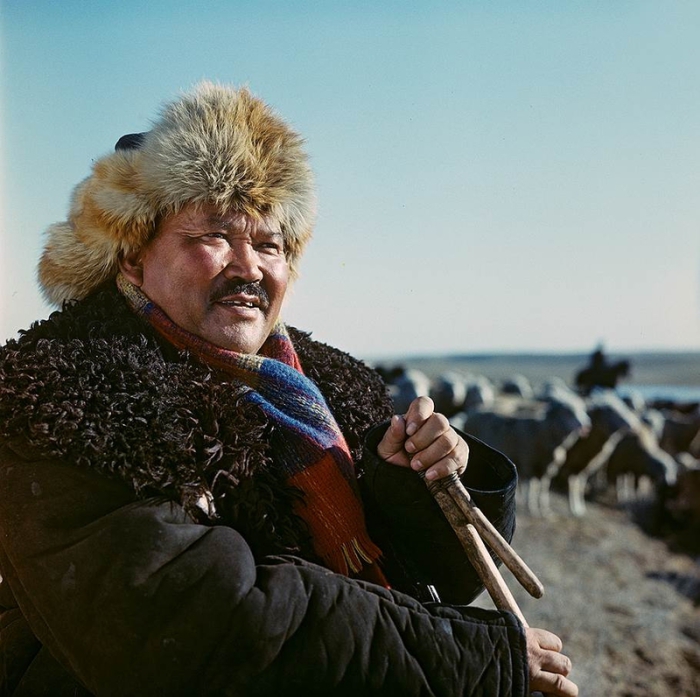 Хороший пастух не бросит свое стадо. Хороший пастух не бросит свое стадо.