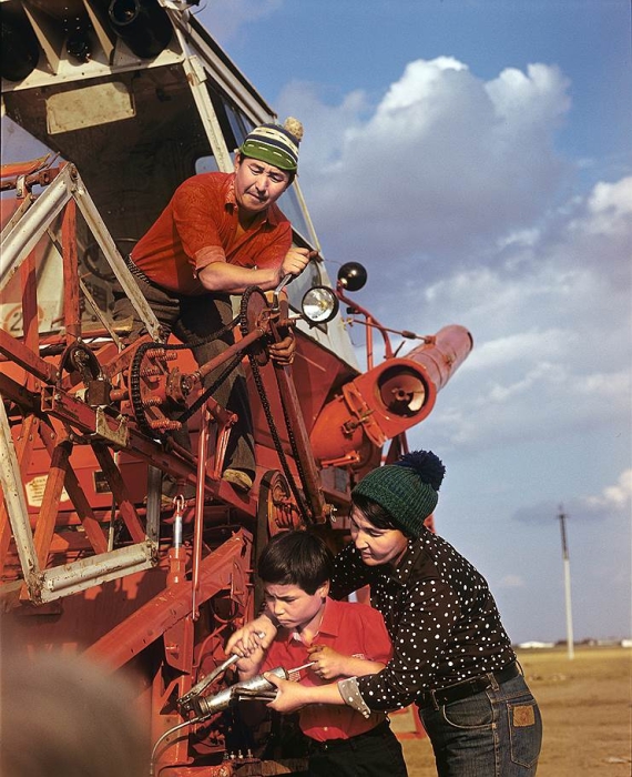 Родители наглядно проводят обучение подрастающего поколения. Родители наглядно проводят обучение подрастающего поколения.