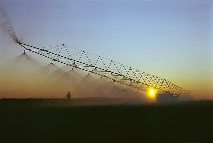 Для полива использовалась вода из реки Иртыш. Для полива использовалась вода из реки Иртыш.