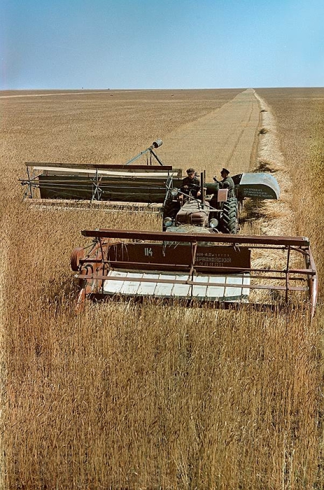 Уборка казахстанского хлеба. Уборка казахстанского хлеба.