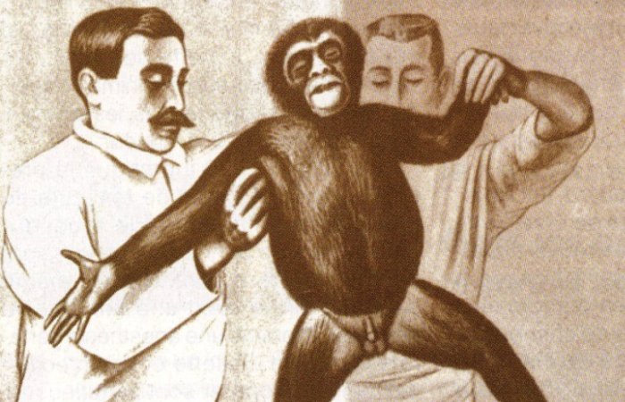 Доктор Воронов готовит обезьяну к операции. Фото: yorokobu.es.