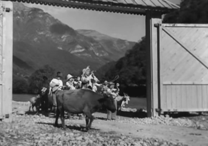 Четвероногие артисты во время съемок преподносили сюрпризы | Фото: kinomania.ru Четвероногие артисты во время съемок преподносили сюрпризы | Фото: kinomania.ru