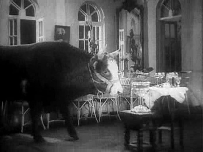 Четвероногие артисты во время съемок преподносили сюрпризы | Фото: kino-teatr.ru Четвероногие артисты во время съемок преподносили сюрпризы | Фото: kino-teatr.ru