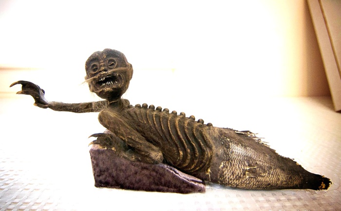 Фиджийская русалка в экспозиции музея. | Фото: urbanpostmortem.wordpress.com. Фиджийская русалка в экспозиции музея. | Фото: urbanpostmortem.wordpress.com.