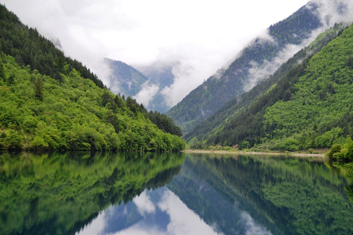 Провинция Сычуань, в которой родился Ли Цинъюнь. Провинция Сычуань, в которой родился Ли Цинъюнь.