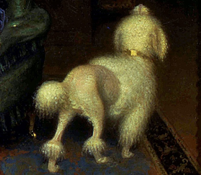 Даже собачка пострижена по последней моде | Фото: vokrugsveta.ru Даже собачка пострижена по последней моде | Фото: vokrugsveta.ru