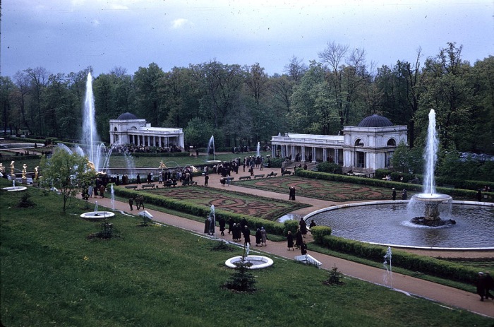 Часть дворцово-паркового ансамбля Петергоф. СССР, Ленинград, 1959 год. Часть дворцово-паркового ансамбля Петергоф. СССР, Ленинград, 1959 год.