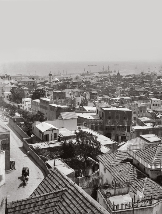 Конный экипаж - одно из средств передвижения по городским улицам. Конный экипаж - одно из средств передвижения по городским улицам.