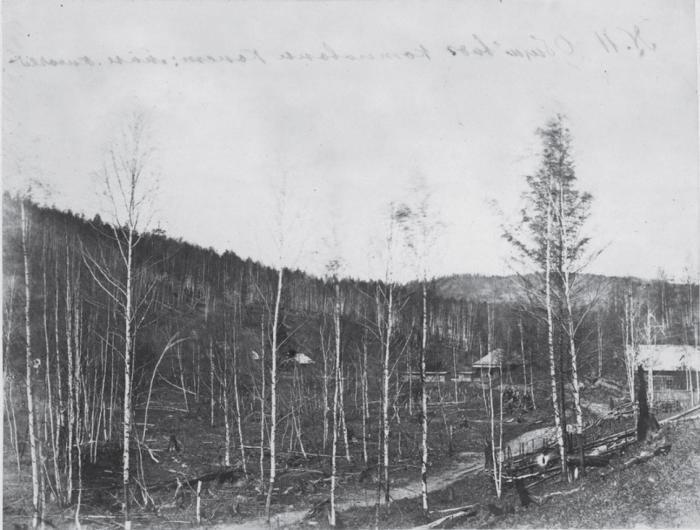 Вблизи Анненских минеральных источников неподалеку от деревни Молвитино. Россия, 1880 годы.