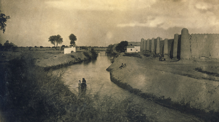 Купание коня во время сильной жары. Купание коня во время сильной жары.