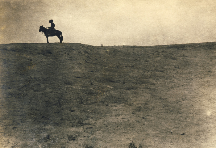 Одинокий всадник далеко в пустыне. Одинокий всадник далеко в пустыне.