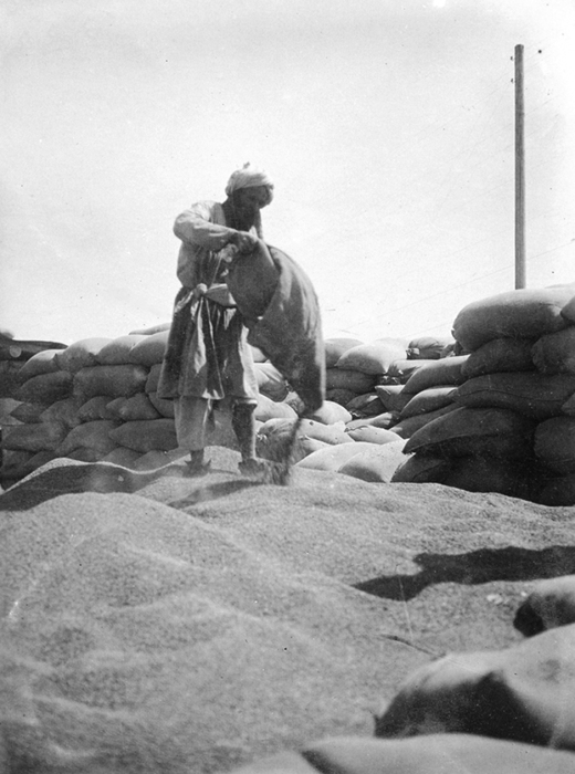 Сбор собранного урожая. Сбор собранного урожая.