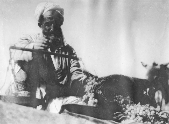 Крестьянин, торгующий фруктами в центре Самарканда. Крестьянин, торгующий фруктами в центре Самарканда.