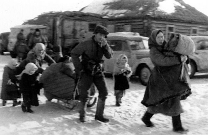 Зимние хлопоты. Зимние хлопоты.