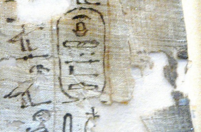 Древний Египет: война из-за любви к гиппопотамам. Древний Египет: война из-за любви к гиппопотамам.