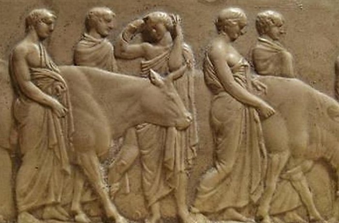 Олимпийские игры: ритуальное жертвоприношение. Олимпийские игры: ритуальное жертвоприношение.