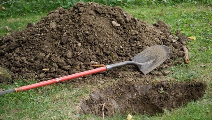 Накапай-ка мне крови! Накапай-ка мне крови!