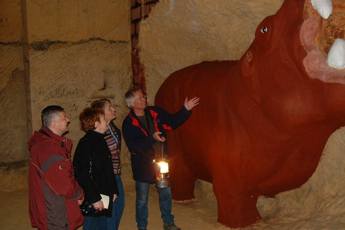 Пещеры Маастрихта: бегемот. Пещеры Маастрихта: бегемот.