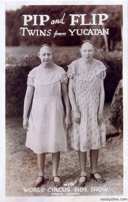 Цирковая афиша: близняшки из Юкатана Цирковая афиша: близняшки из Юкатана