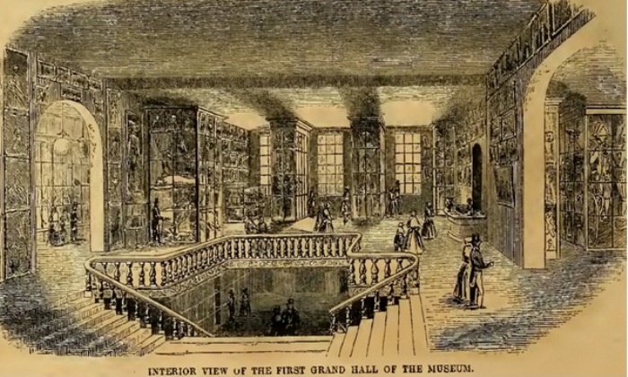 Холл музея Холл музея