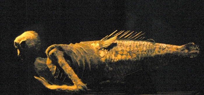 Артефакт-мистификация - русалка с острова Фиджи Артефакт-мистификация - русалка с острова Фиджи