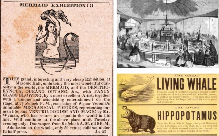 Афиша выставки русалок, бассейнов с китом и гиппопотамом Афиша выставки русалок, бассейнов с китом и гиппопотамом