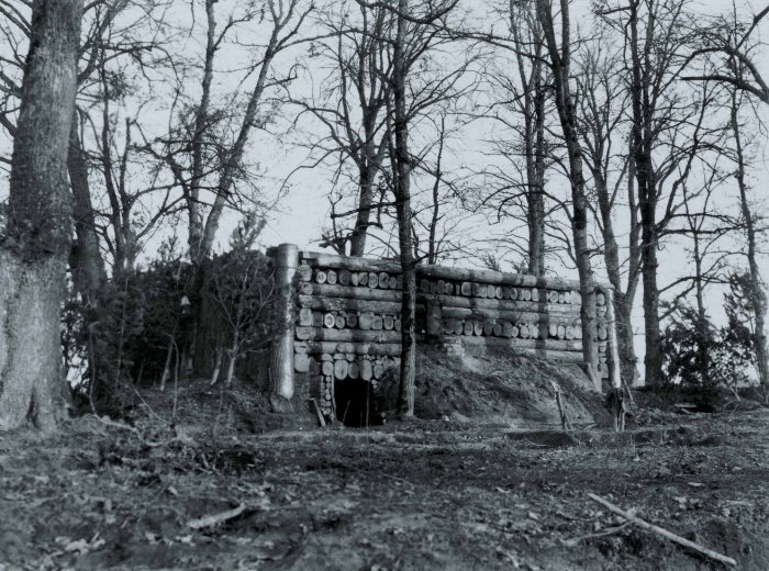 Хорошо укрепленный в лесу блиндаж. Хорошо укрепленный в лесу блиндаж.