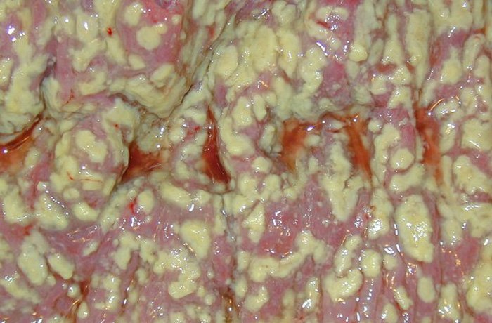 Китайский жёлтый суп. Китайский жёлтый суп.