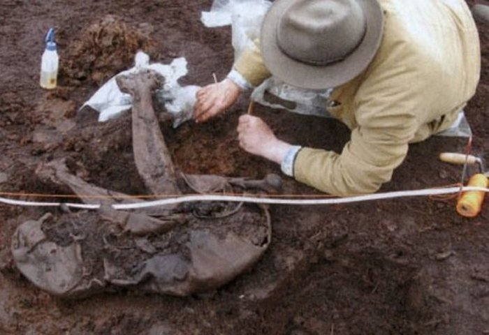 Торфяной человек из Кашела. Торфяной человек из Кашела.