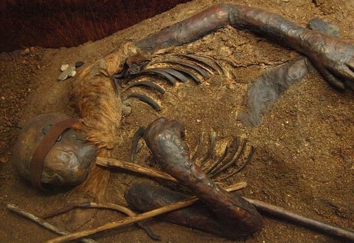 Торфяной подросток из Виндеби. Торфяной подросток из Виндеби.