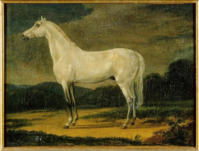 Арабский жеребец Визирь. Картина Pierre Martinet. Фото: culture.gouv.fr. Арабский жеребец Визирь. Картина Pierre Martinet. Фото: culture.gouv.fr.