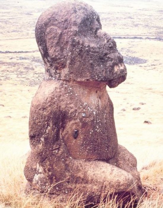 Тукутури в профиль. Тукутури в профиль.