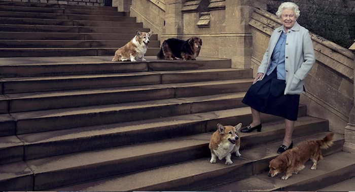 Королева и ее домашние питомцы. Королева и ее домашние питомцы.