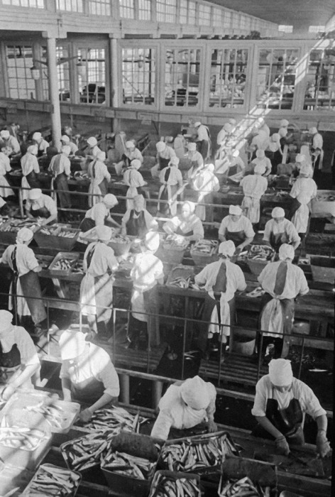 Завод по переработке сайры на острове Шикотан, 1969 год. | Фото: commons.wikimedia.org. Завод по переработке сайры на острове Шикотан, 1969 год. | Фото: commons.wikimedia.org.