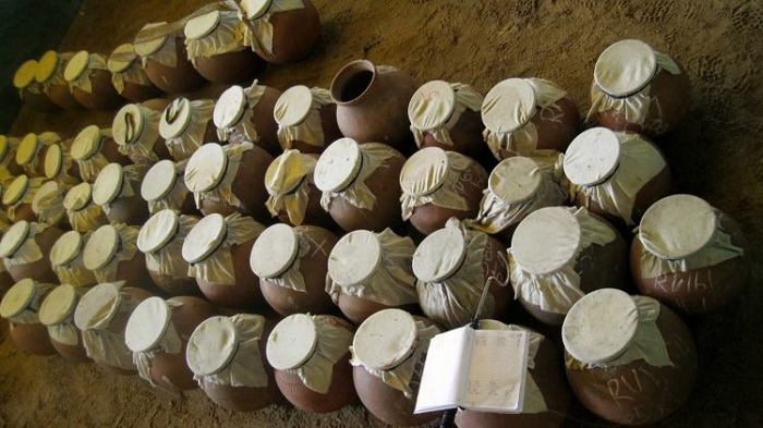 Глиняные кувшины со змеями в кооперативе по сбору яда. Фото: wildwildworld.net.ua Глиняные кувшины со змеями в кооперативе по сбору яда. Фото: wildwildworld.net.ua