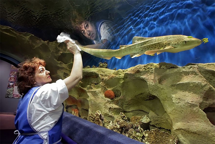 Отражение. Фото: Александр Петросян. Отражение. Фото: Александр Петросян.