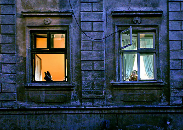 За окном. Фото: Александр Петросян. За окном. Фото: Александр Петросян.