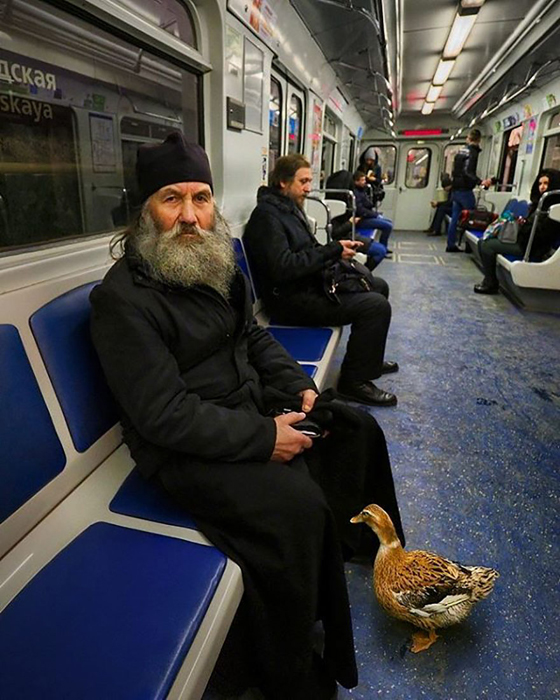 Человек и утка. Фото: Александр Петросян. Человек и утка. Фото: Александр Петросян.