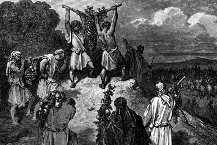 Филистимляне и израильтяне. Филистимляне и израильтяне.