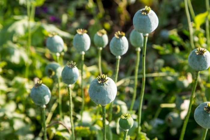 «Оловянный перекресток». «Оловянный перекресток».