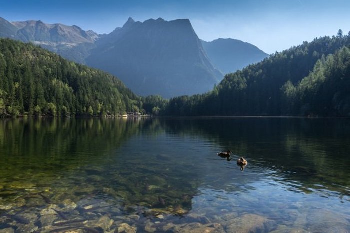 Мумия Эци - уникальная климатическая запись. Мумия Эци - уникальная климатическая запись.
