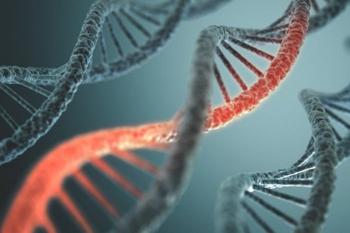 Мумия Эци поможет в исследовании микро-РНК. Мумия Эци поможет в исследовании микро-РНК.